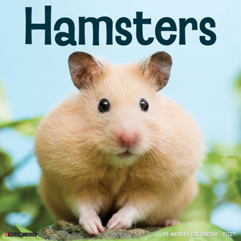 Hamsters 2027 Wall Calendar/Product Detail/Calendars & Diaries
