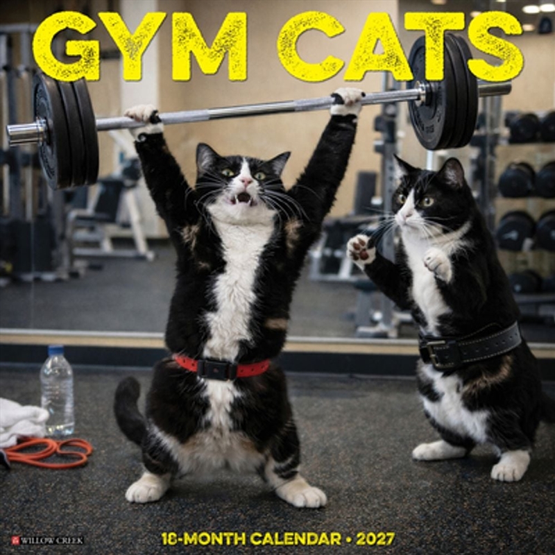 Gym Cats 2027 Wall Calendar/Product Detail/Calendars & Diaries