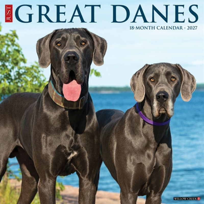 Great Danes 2027 Wall Calendar/Product Detail/Calendars & Diaries