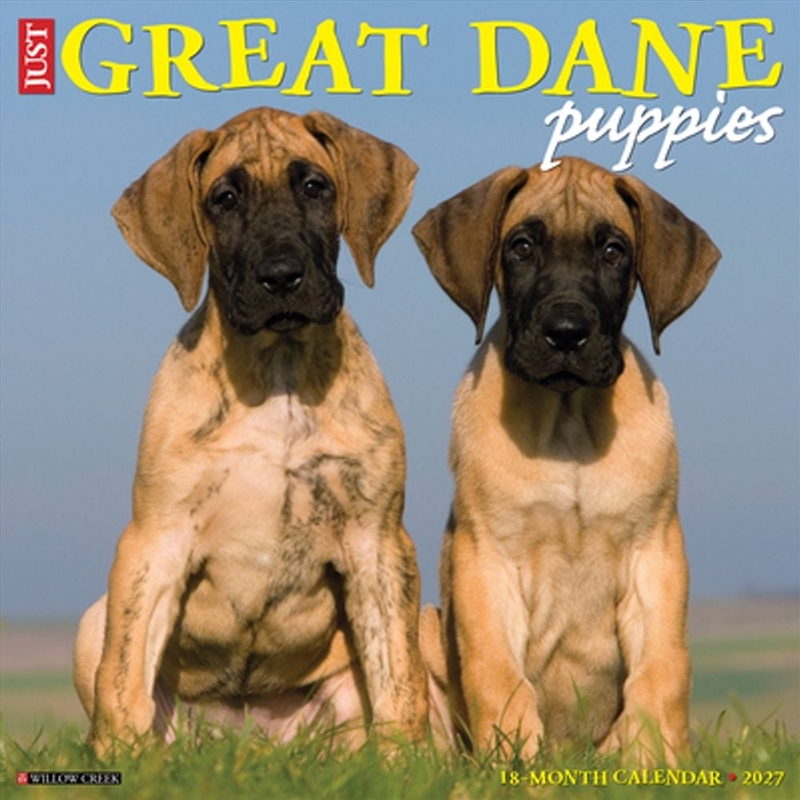 Great Dane Puppies 2027 Wall Calendar/Product Detail/Calendars & Diaries