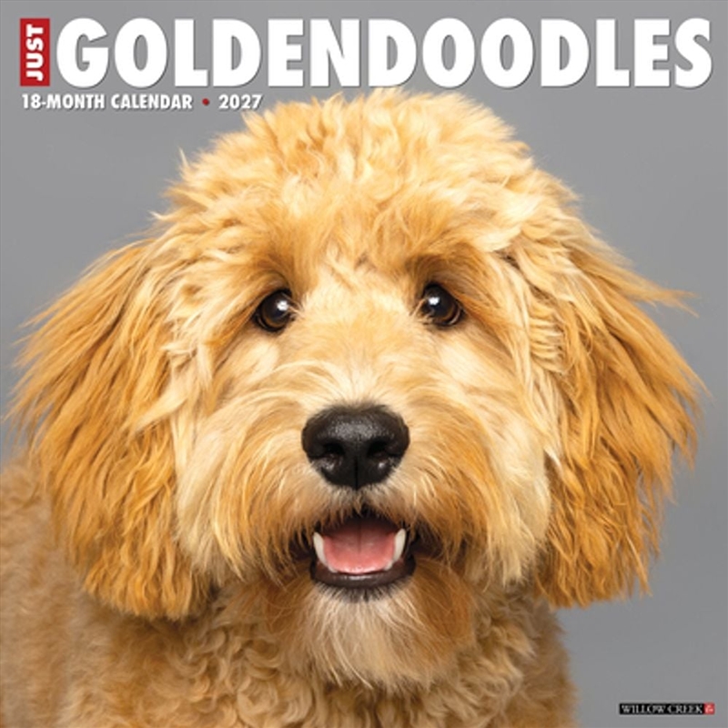 Goldendoodles 2027 Wall Calendar/Product Detail/Calendars & Diaries