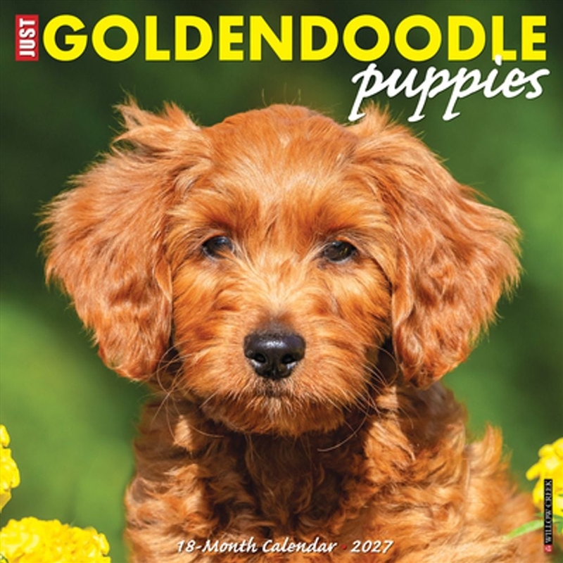 Goldendoodle Puppies 2027 Wall Calendar/Product Detail/Calendars & Diaries