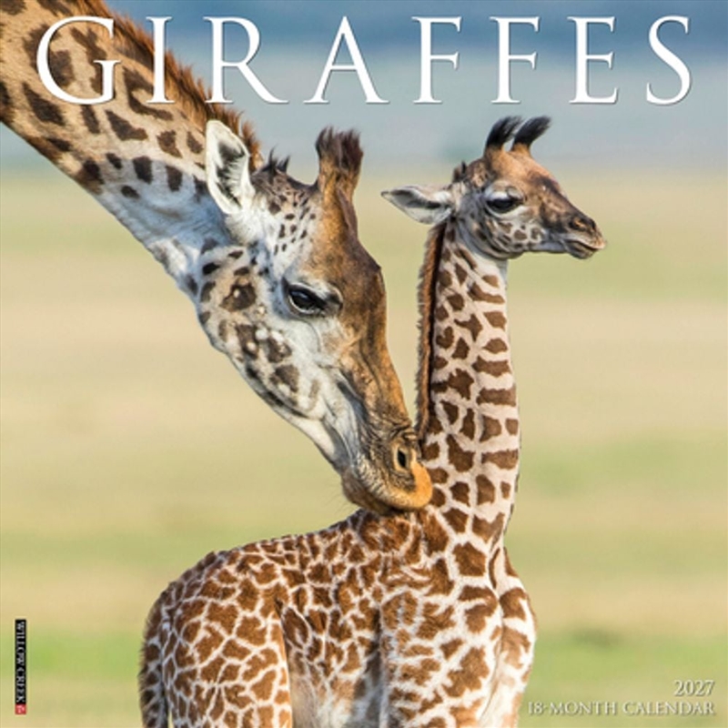 Giraffes 2027 Wall Calendar/Product Detail/Calendars & Diaries