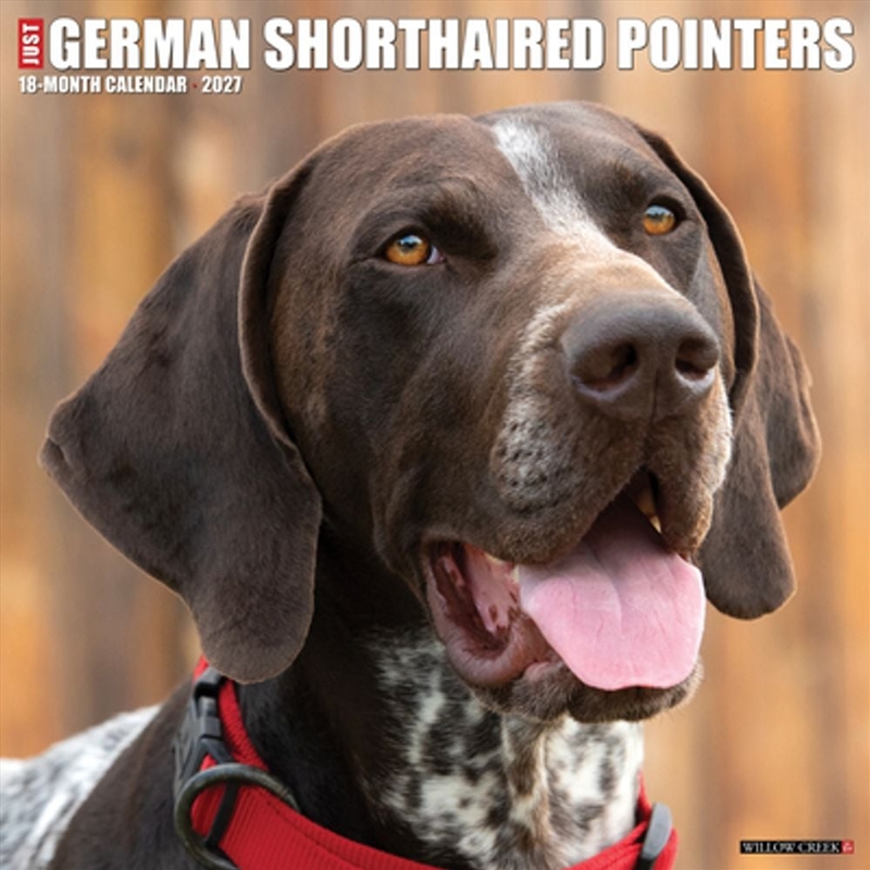 German Shorthaired Pointers 2027 Wall Calendar/Product Detail/Calendars & Diaries