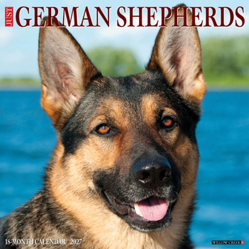 German Shepherds 2027 Wall Calendar/Product Detail/Calendars & Diaries