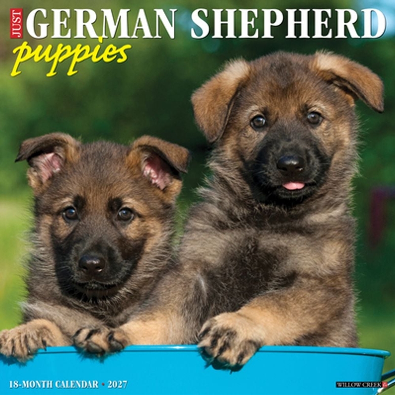 German Shepherd Puppies 2027 Wall Calendar/Product Detail/Calendars & Diaries
