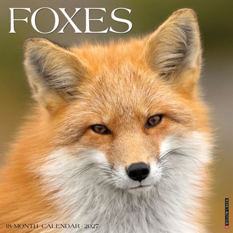 Foxes 2027 Wall Calendar/Product Detail/Calendars & Diaries