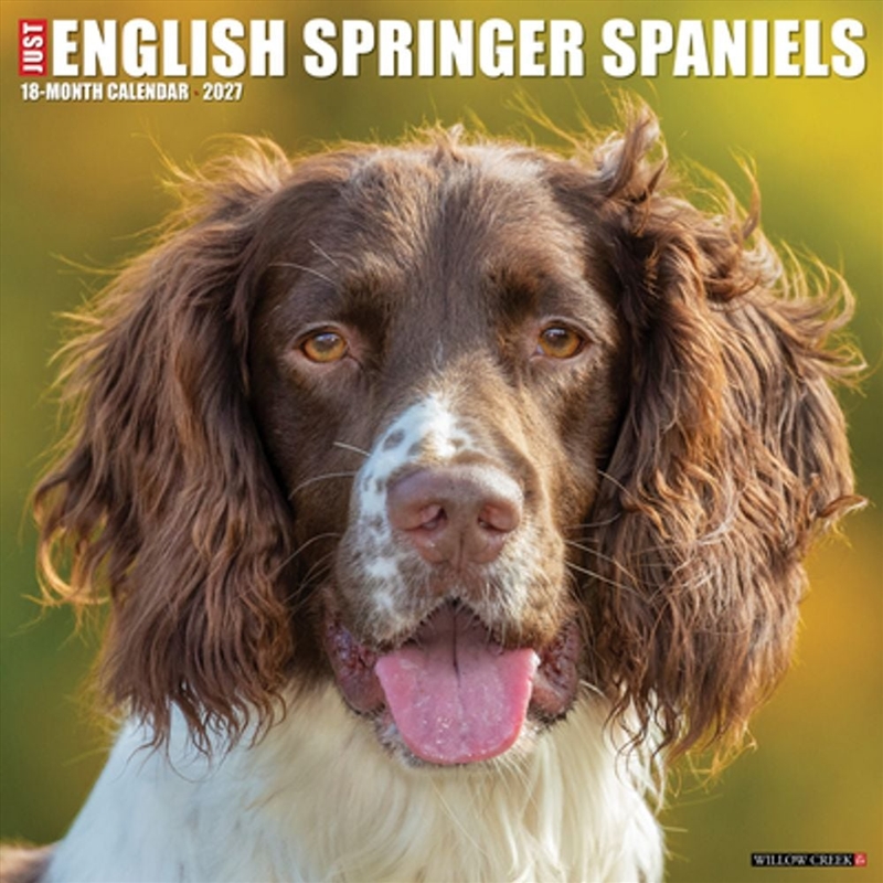 English Springer Spaniels 2027 Wall Calendar/Product Detail/Calendars & Diaries