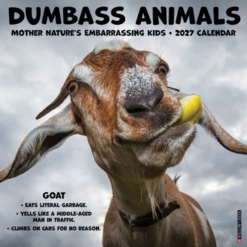 Dumbass Animals 2027 Wall Calendar/Product Detail/Calendars & Diaries