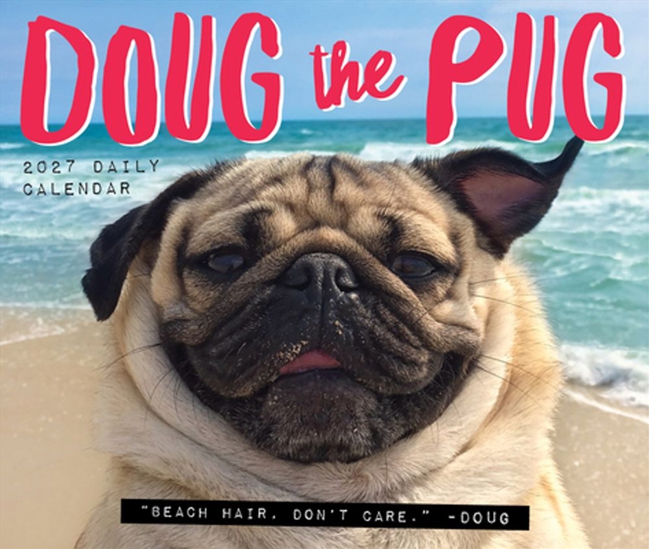 Doug the Pug 2027 Box Calendar/Product Detail/Calendars & Diaries