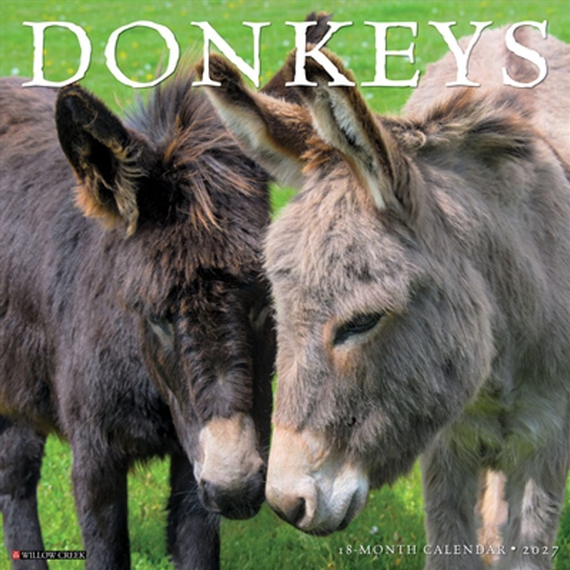 Donkeys 2027 Wall Calendar/Product Detail/Calendars & Diaries