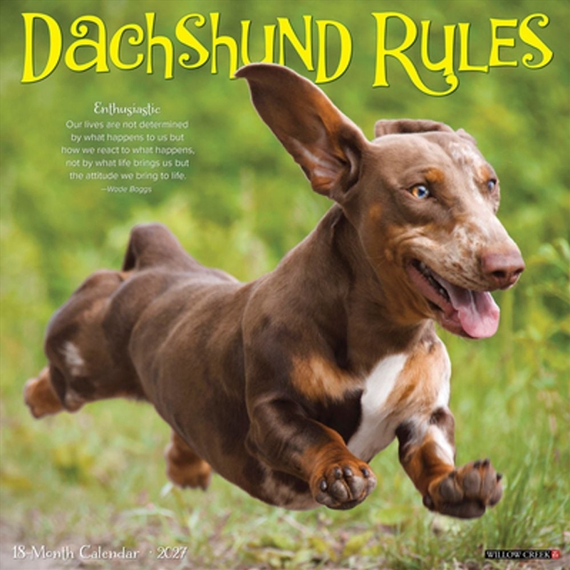 Dachshund Rules 2027 Wall Calendar/Product Detail/Calendars & Diaries