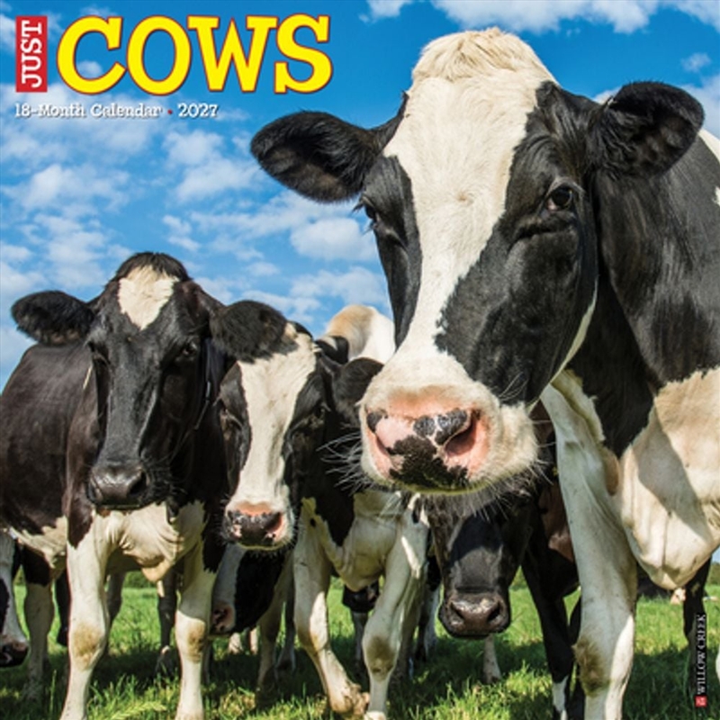 Cows 2027 Wall Calendar/Product Detail/Calendars & Diaries