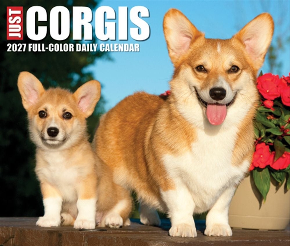 Corgis 2027 Box Calendar/Product Detail/Calendars & Diaries