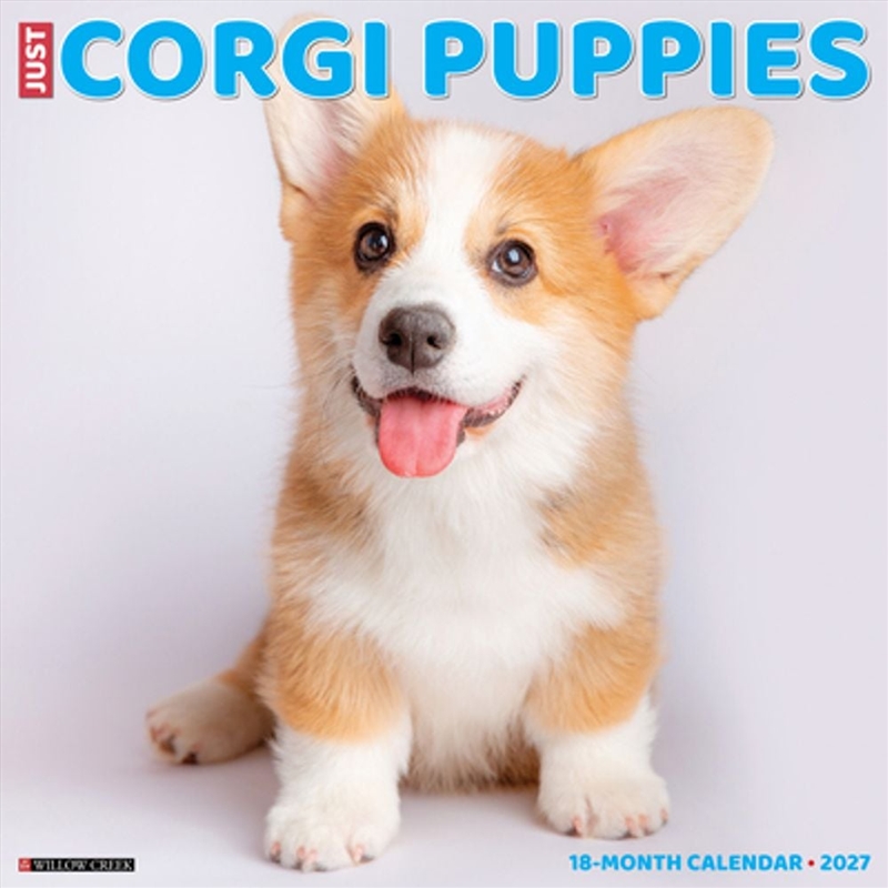 Corgi Puppies 2027 Wall Calendar/Product Detail/Calendars & Diaries