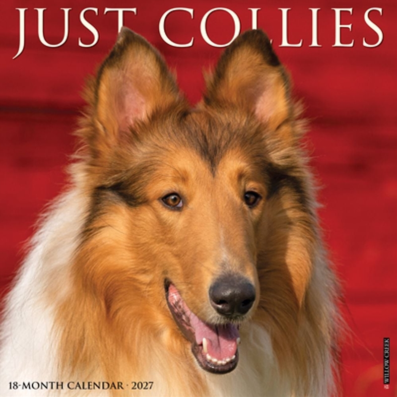 Collies 2027 Wall Calendar/Product Detail/Calendars & Diaries