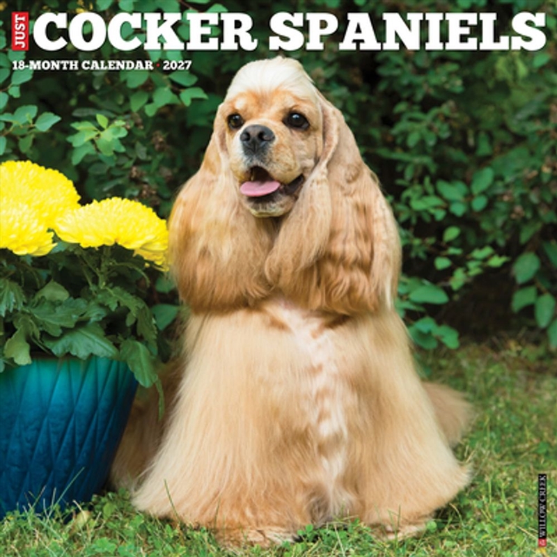 Cocker Spaniels 2027 Wall Calendar/Product Detail/Calendars & Diaries