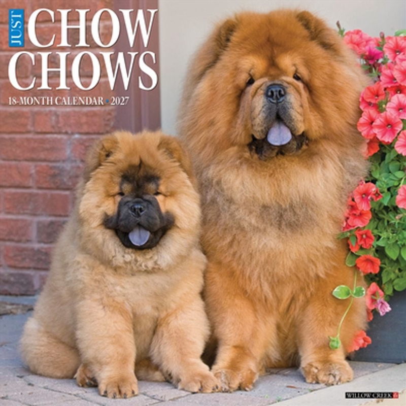Chow Chows 2027 Wall Calendar/Product Detail/Calendars & Diaries