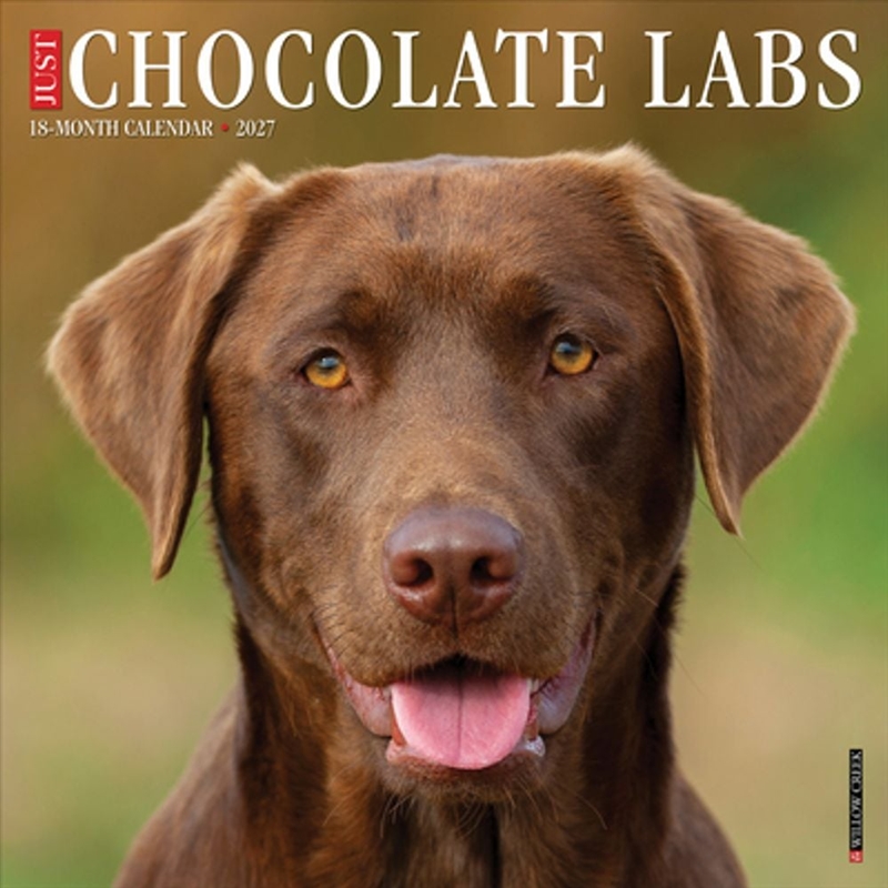 Chocolate Labs 2027 Wall Calendar/Product Detail/Calendars & Diaries