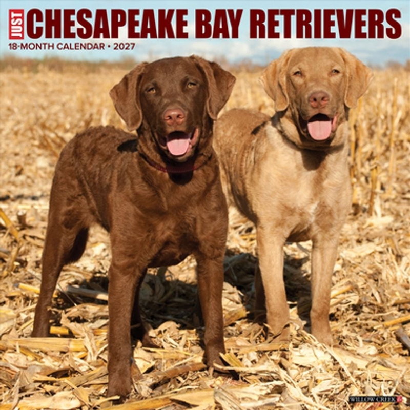 Chesapeake Bay Retrievers 2027 Wall Calendar/Product Detail/Calendars & Diaries