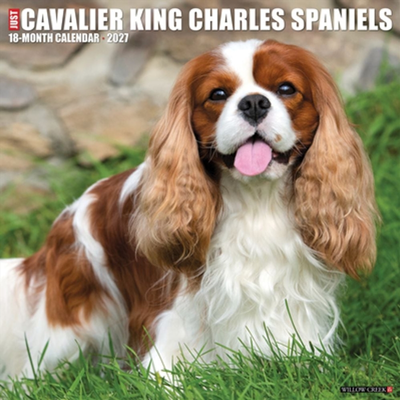 Cavalier King Charles Spaniels 2027 Wall Calendar/Product Detail/Calendars & Diaries