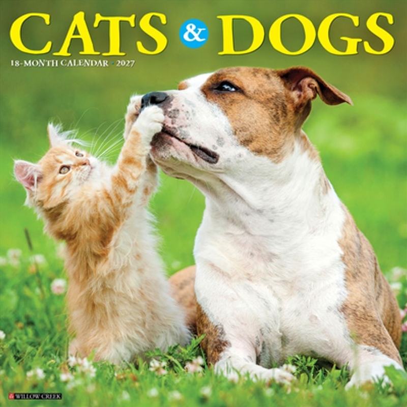 Cats & Dogs 2027 Wall Calendar/Product Detail/Calendars & Diaries