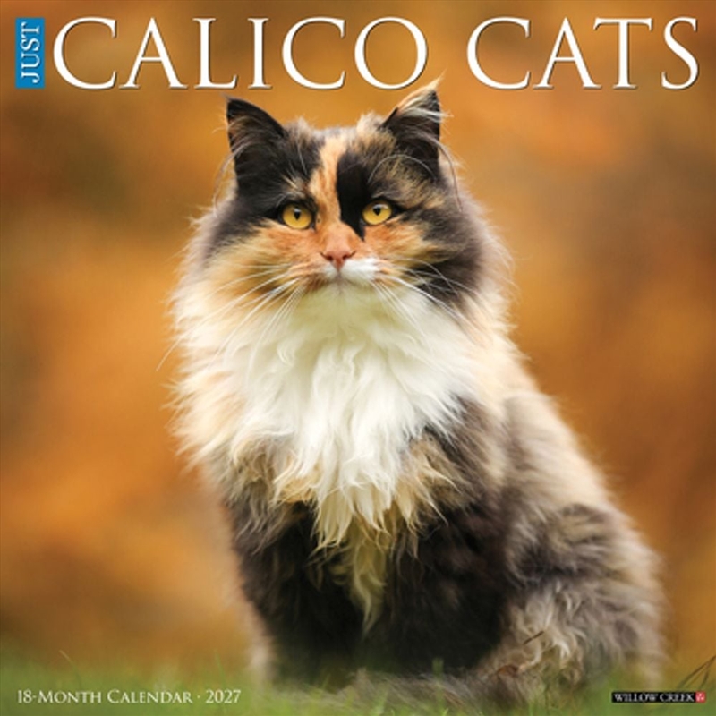 Calico Cats 2027 Wall Calendar/Product Detail/Calendars & Diaries