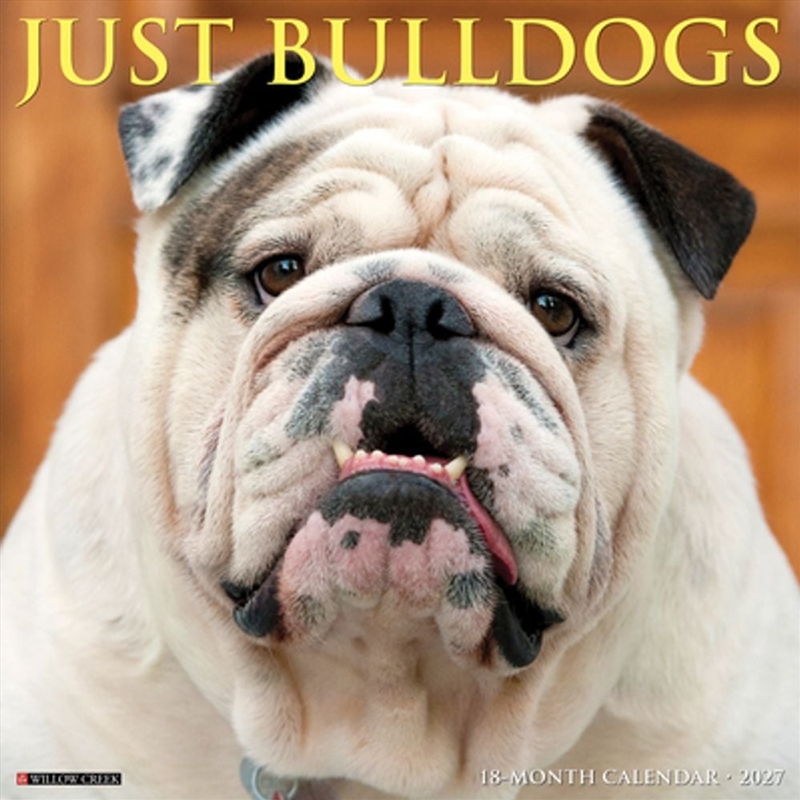 Bulldogs 2027 Wall Calendar/Product Detail/Calendars & Diaries