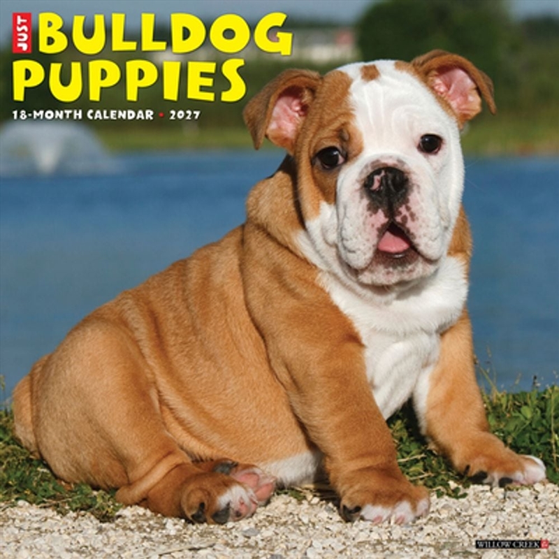 Bulldog Puppies 2027 Wall Calendar/Product Detail/Calendars & Diaries