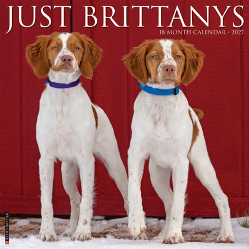 Brittanys 2027 Wall Calendar/Product Detail/Calendars & Diaries