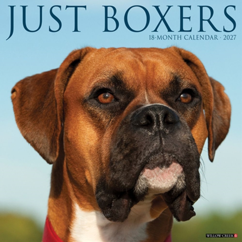 Boxers 2027 Wall Calendar/Product Detail/Calendars & Diaries