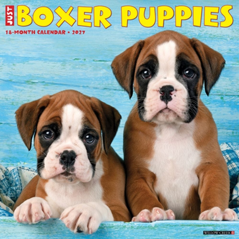Boxer Puppies 2027 Wall Calendar/Product Detail/Calendars & Diaries