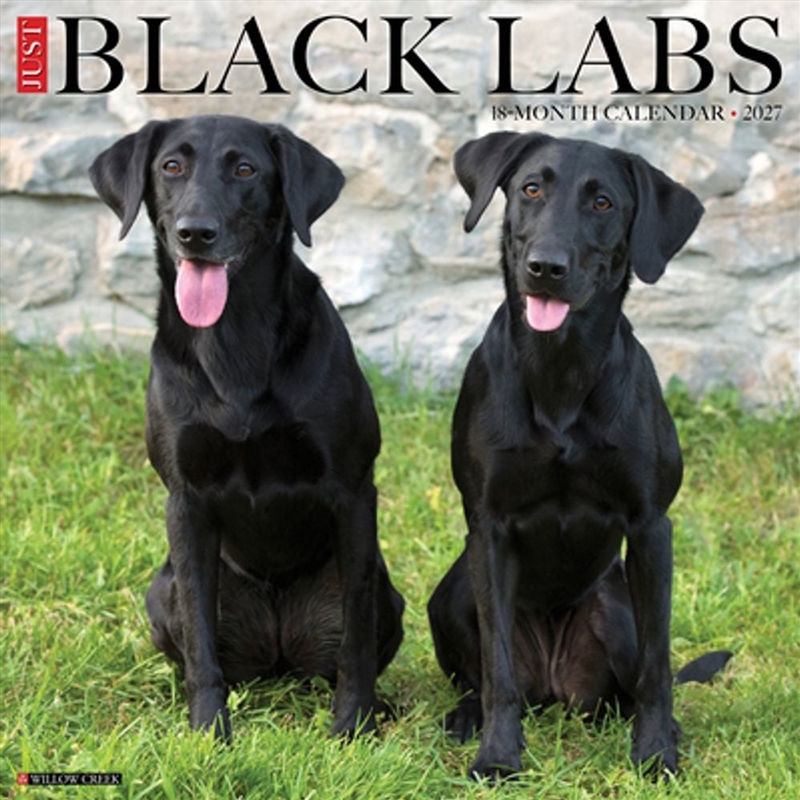 Black Labs 2027 Wall Calendar/Product Detail/Calendars & Diaries