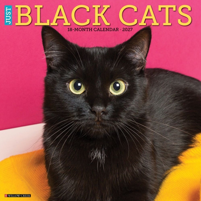 Black Cats 2027 Wall Calendar/Product Detail/Calendars & Diaries