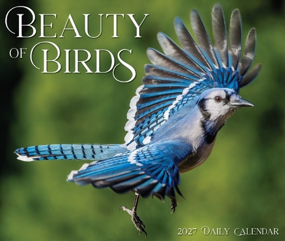 Beauty of Birds 2027 Box Calendar/Product Detail/Calendars & Diaries