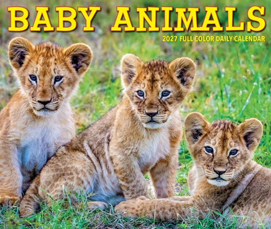 Baby Animals 2027 Box Calendar/Product Detail/Calendars & Diaries