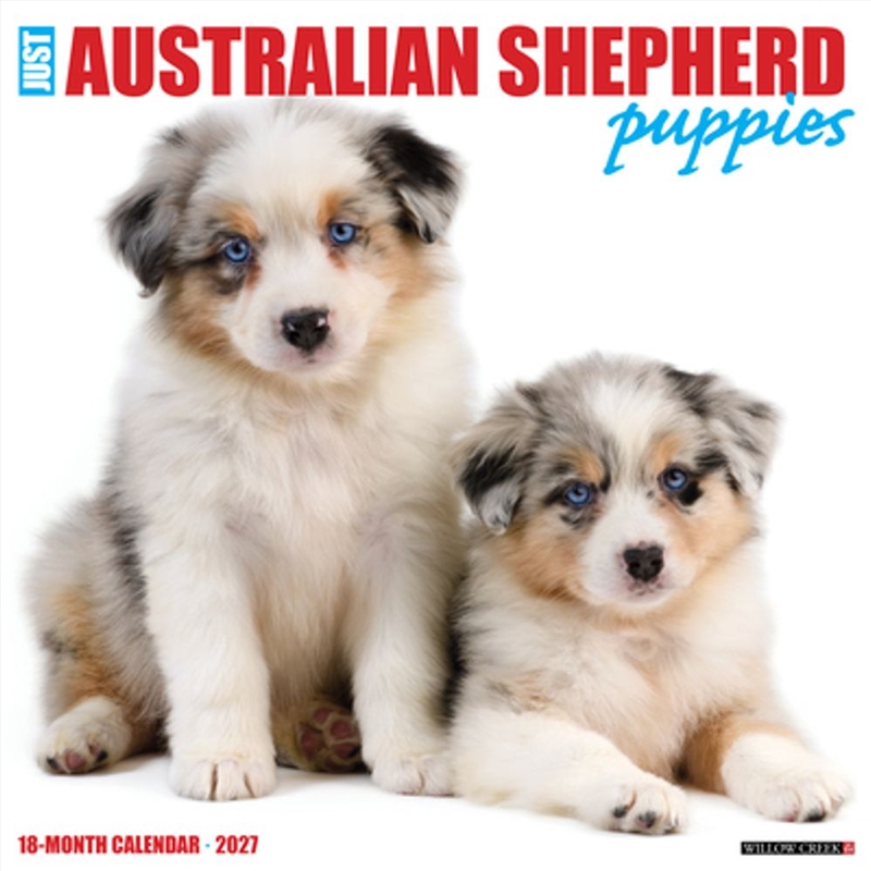 Australian Shepherd Puppies 2027 Wall Calendar/Product Detail/Calendars & Diaries