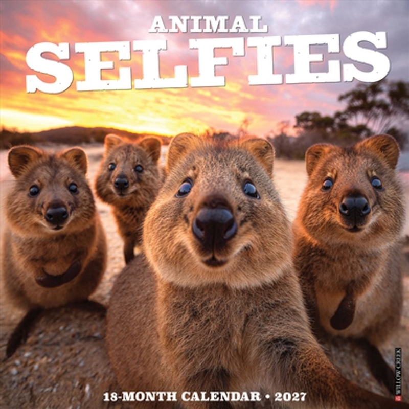 Animal Selfies 2027 Wall Calendar/Product Detail/Calendars & Diaries