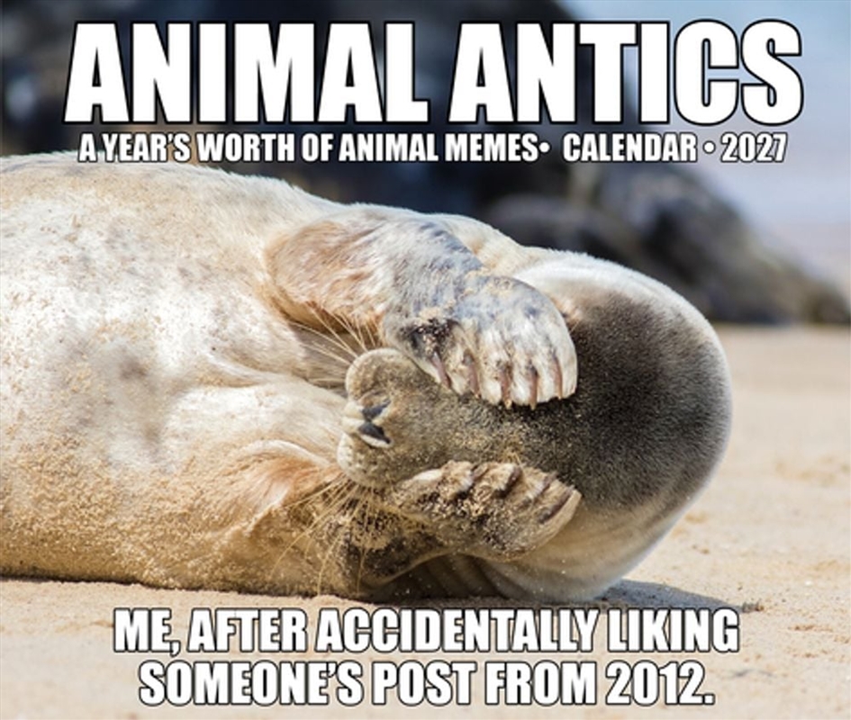 Animal Antics 2027 Box Calendar/Product Detail/Calendars & Diaries