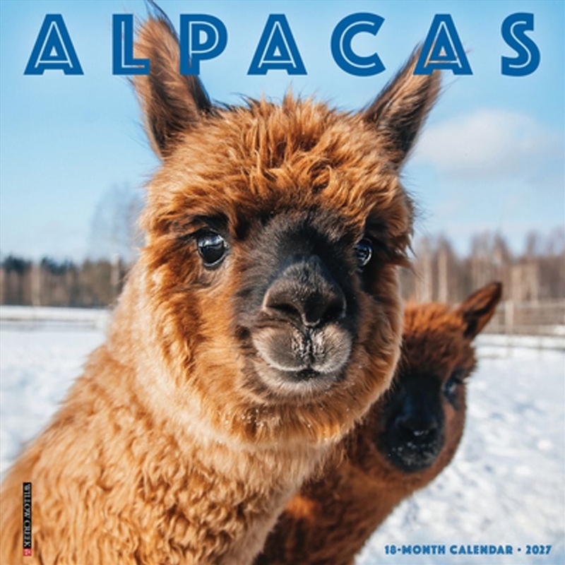 Alpacas 2027 Wall Calendar/Product Detail/Calendars & Diaries