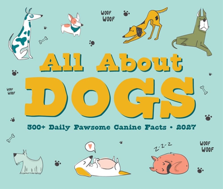 All About Dogs 2027 Box Calendar/Product Detail/Calendars & Diaries