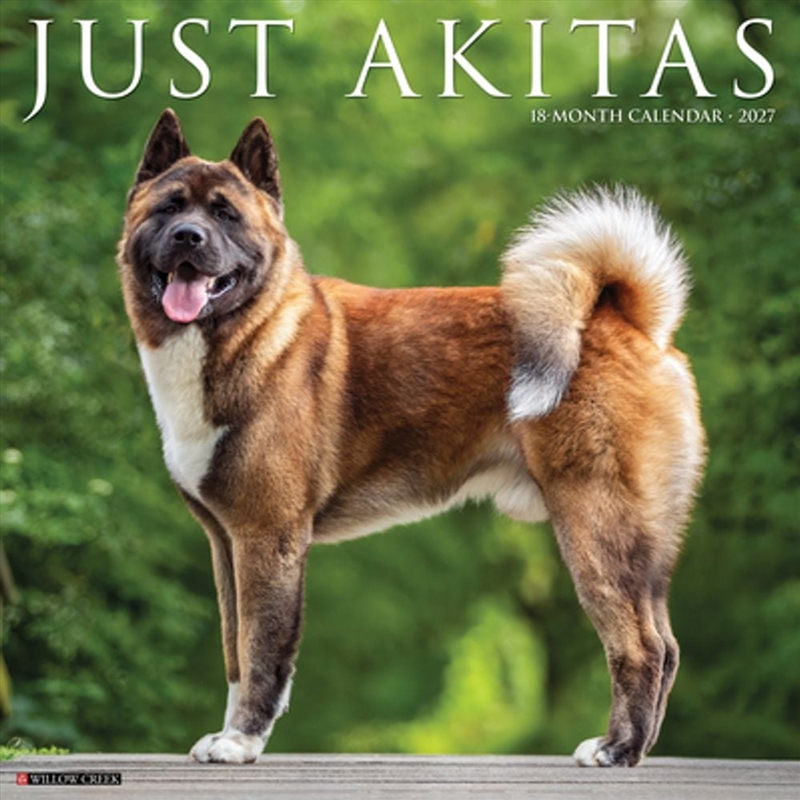 Akitas 2027 Wall Calendar/Product Detail/Calendars & Diaries