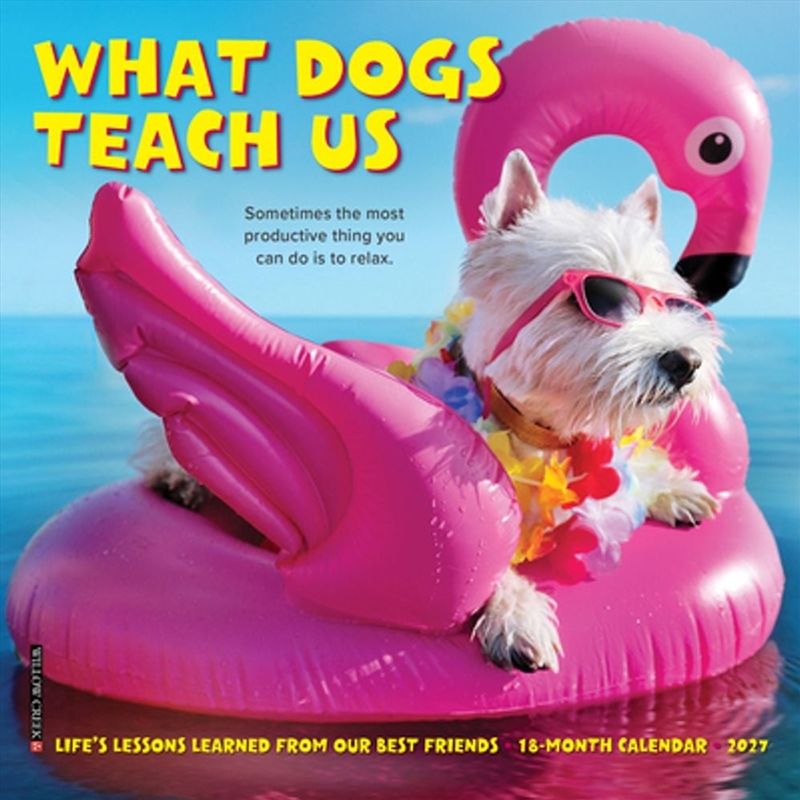 What Dogs Teach Us 2027 Mini Calendar/Product Detail/Calendars & Diaries