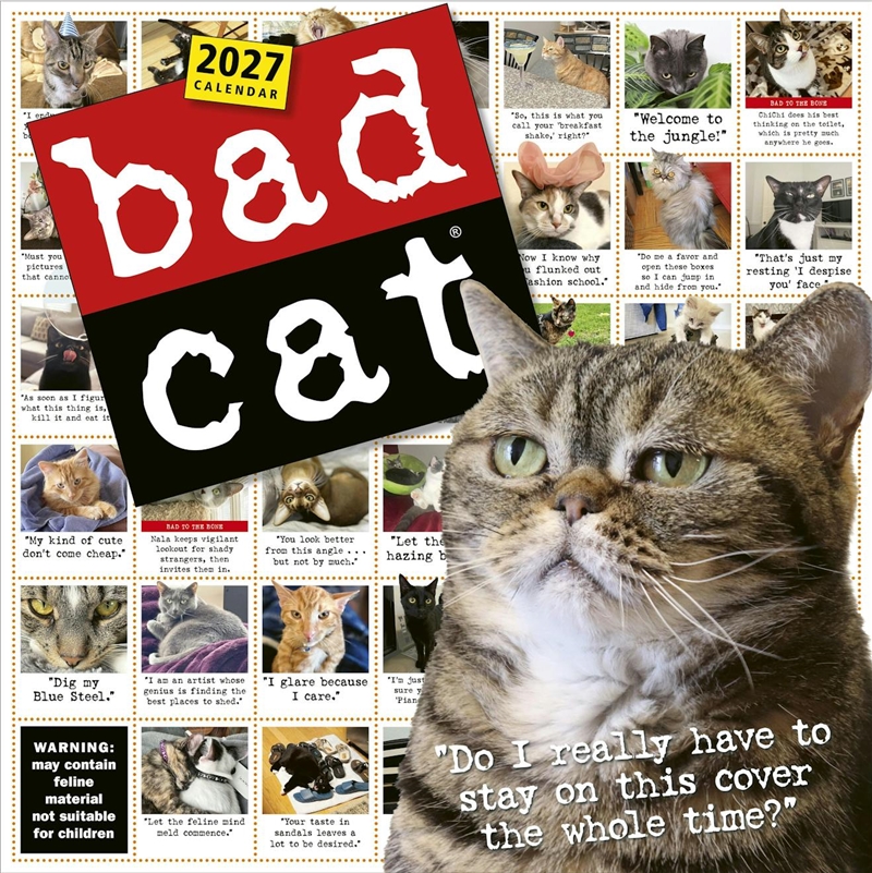 Bad Cat Wall Calendar 2027/Product Detail/Comedy