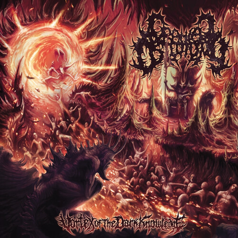Vortex Of The Dark Knowledge/Product Detail/Metal