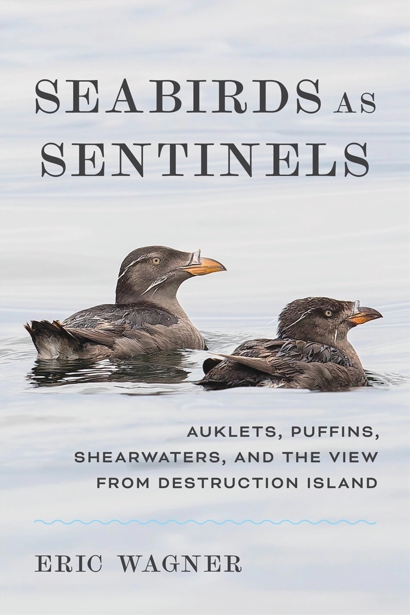 Seabirds as Sentinels : Auklets, Puffins, Shearwaters, and the View from Destruction Island/Product Detail/Animals & Nature