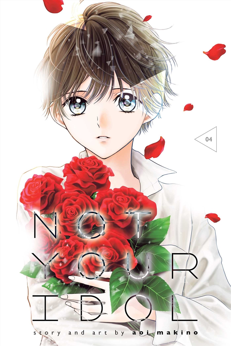 Not Your Idol, Vol. 4/Product Detail/Manga