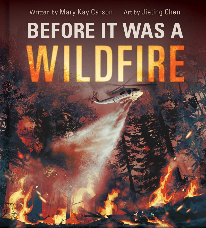 Before It Was a Wildfire/Product Detail/Childrens