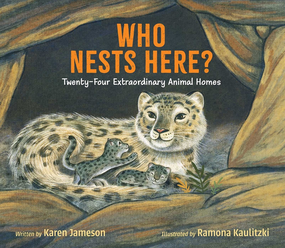 Who Nests Here?/Product Detail/Childrens Fiction Books