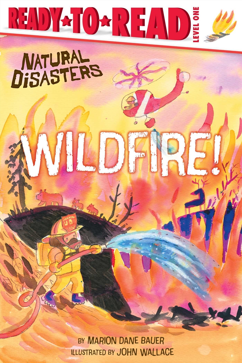 Wildfire!/Product Detail/Childrens Fiction Books